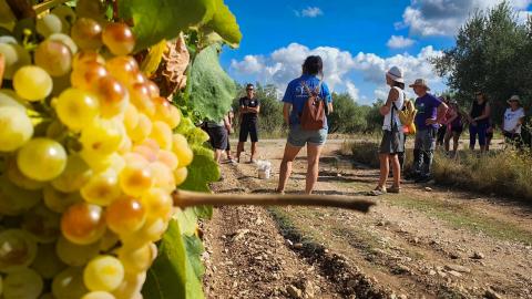 Visites Turisme