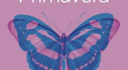 Pogramacio Primavera