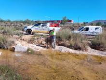 Tractaments Mosquits