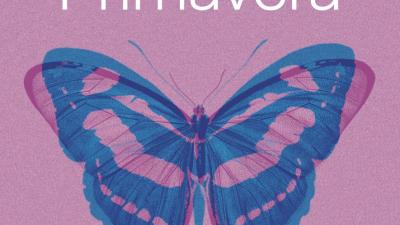 Pogramacio Primavera