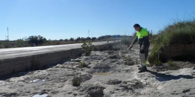 Prevención mosquitos